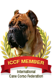 ICCF Member
